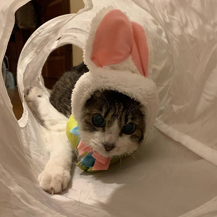 4757f5a7 4389 4a15 9519 4ba3a2d96a39 1672528113273