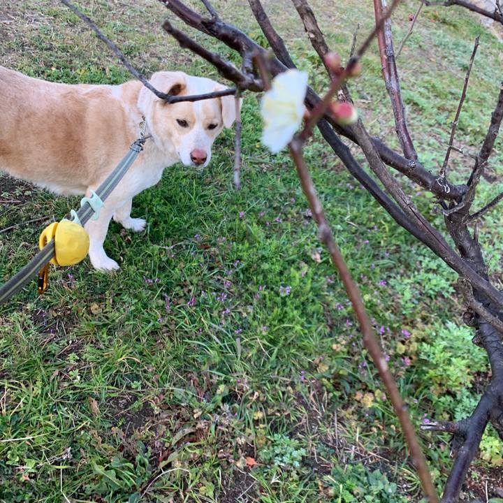 4757fbd2 3520 4374 b58d ac34da49904a 1551012536552