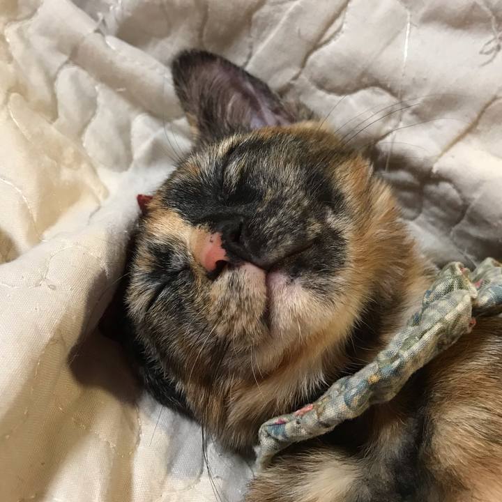 4757fd09 ec5e 464a 8c5b 8164737e351d 1601290908069