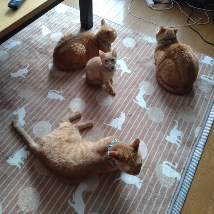 475828c5 cdfc 4216 86ae 074554de28e5 1670554635296