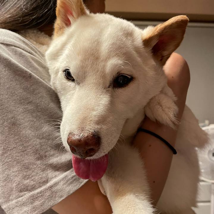 4758449d 8de1 4dad 94d2 2948bc13ac4f 1655739497893