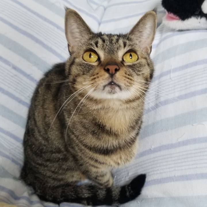 47587cc3 d39b 4609 8678 a87333dd37a3 1574286638213