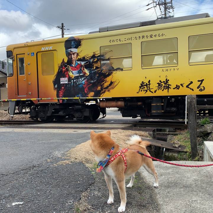 475887f7 e990 4d2c a8ff c41599c54e72 1580388216223