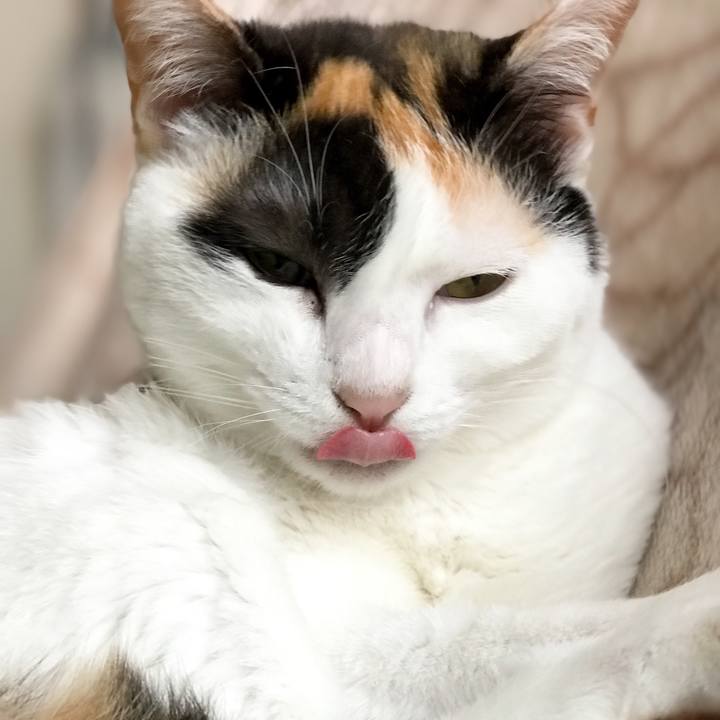 4758a535 f2d8 409c 8fce 67f0373815ed 1527344637065