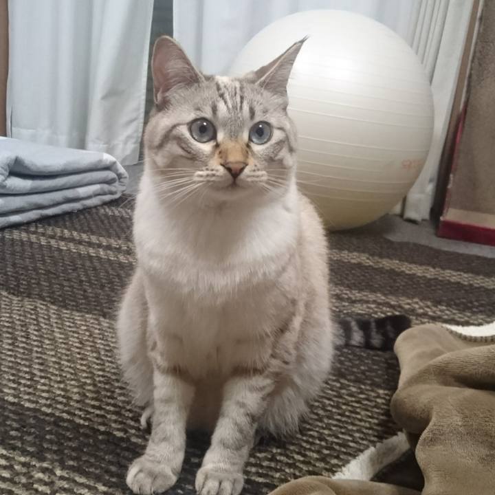 4758bc10 8353 4abd bed1 0aea8224a99a 1508347564282