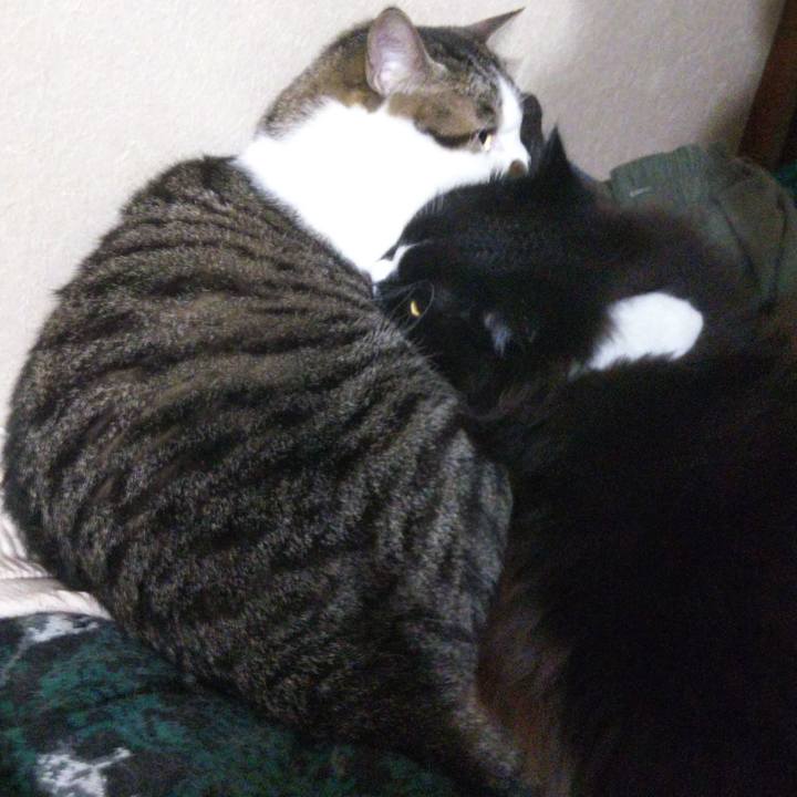 4758c05b f336 4e1b 995a 01cabcbc9d6e 1663461140288