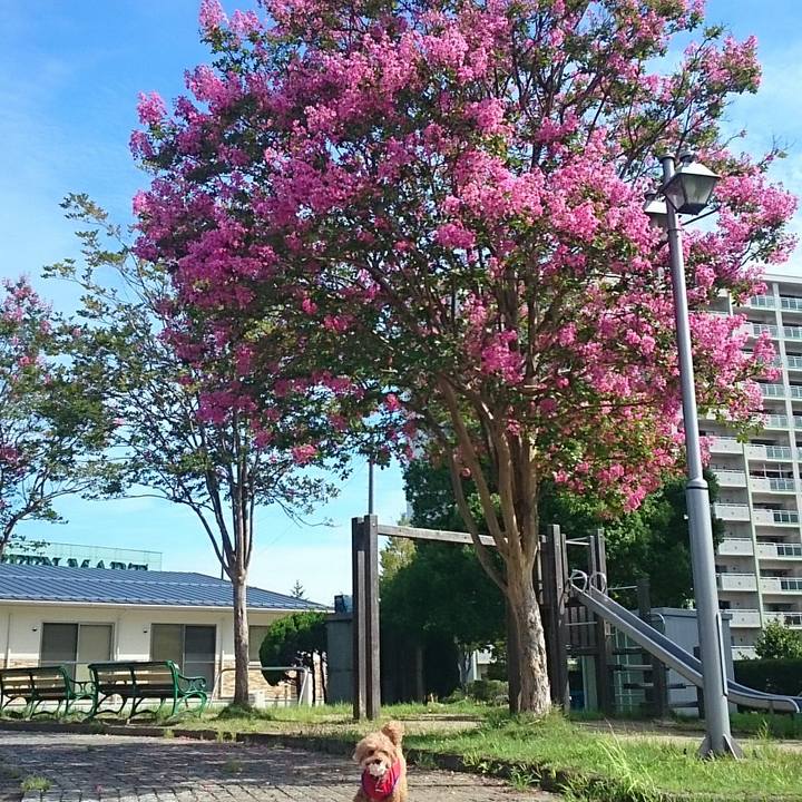 4758cc40 c559 4d17 a194 db67619757c9 1534724010396