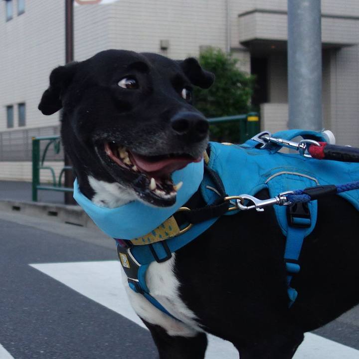 4759038a f006 41a9 9658 17a33f95dc5f 1627556119190