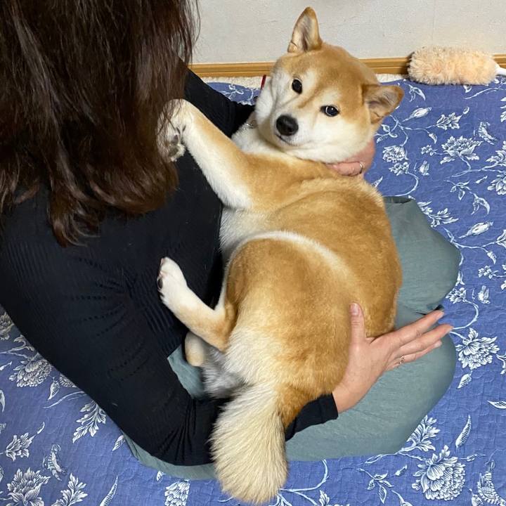 47590f27 f517 485a bd69 82f1a82a234f 1576936925116