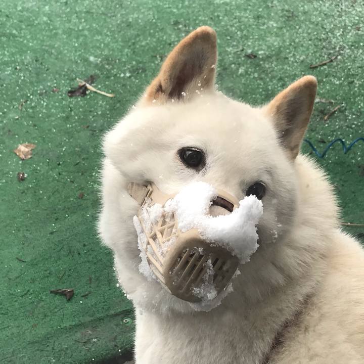 47591bcc a96b 4136 a01e b6d1957900df 1553298525103