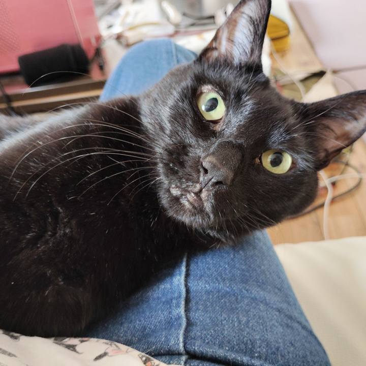 47593160 a6a9 45c6 830a 6f072e945f11 1776157436817