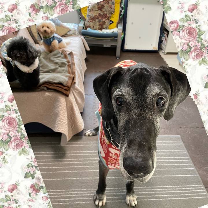 47597ac2 a130 4714 adb0 13e6da67d71a 1638485412892