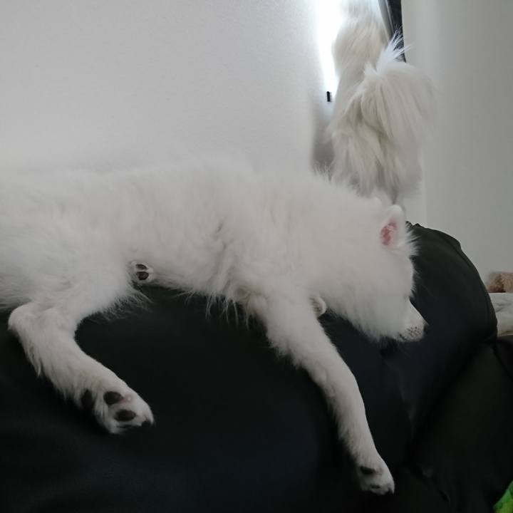 47599d24 0d26 4415 8790 669a2284da62 1554273078253