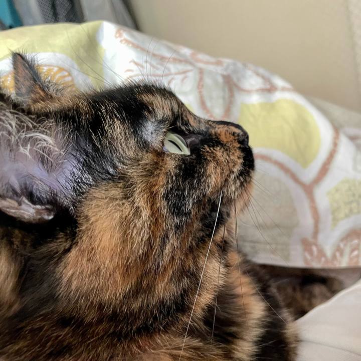 4759a0e2 0316 4b94 99a1 af403574d37c 1764458680308