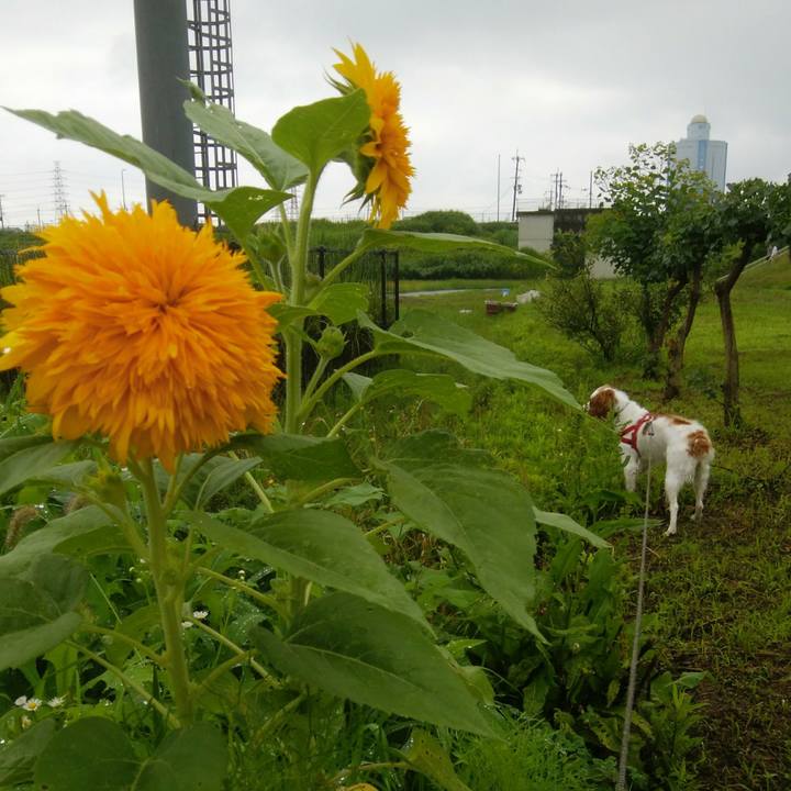 4759ae2e 2b75 41f2 8528 874e8db10d65 1529800266871