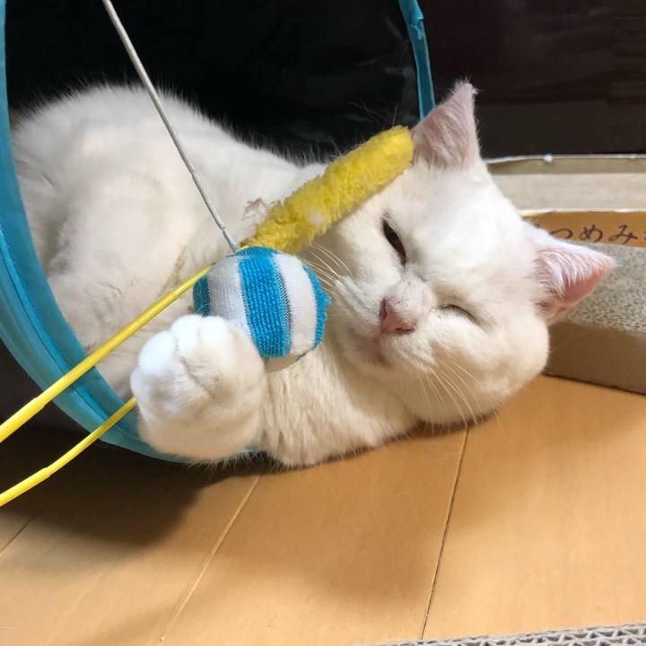 4759de11 11bd 4e76 8a0c 99c3276bc2bd 1570347960505