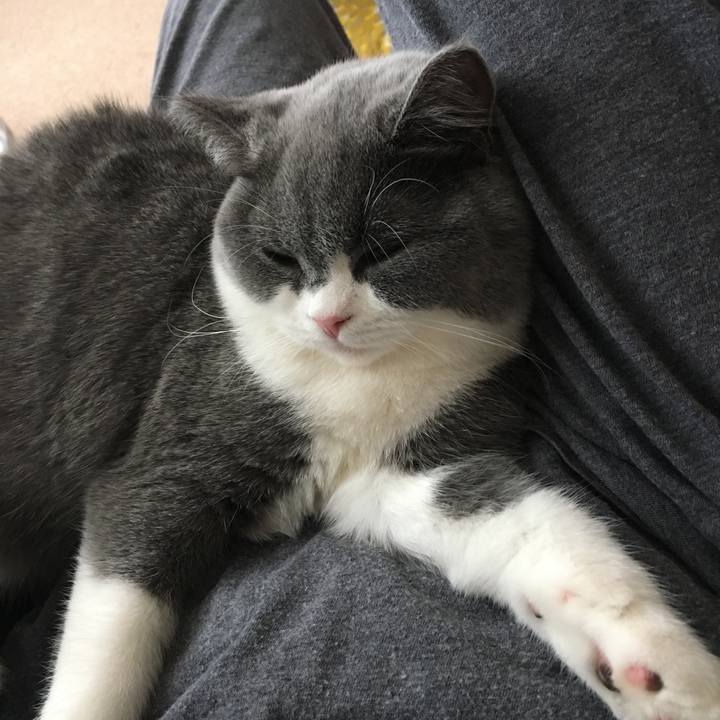 4759e12d 45bc 45de a93e e0b1430ed371 1508376023426