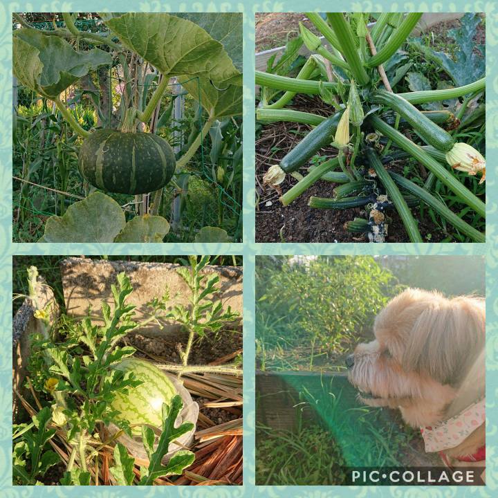 4759f1b3 8600 406c 8ab1 3d3fe9c118d8 1592950597910