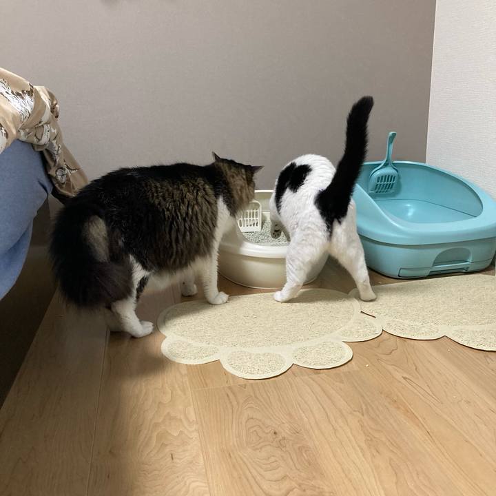 4759fe59 4a46 43fb 9713 2d74a0128f7f 1757537628195