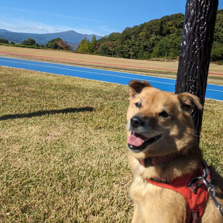 475a3098 ef14 4a51 8b3d 3567c52f3237 1697708138046