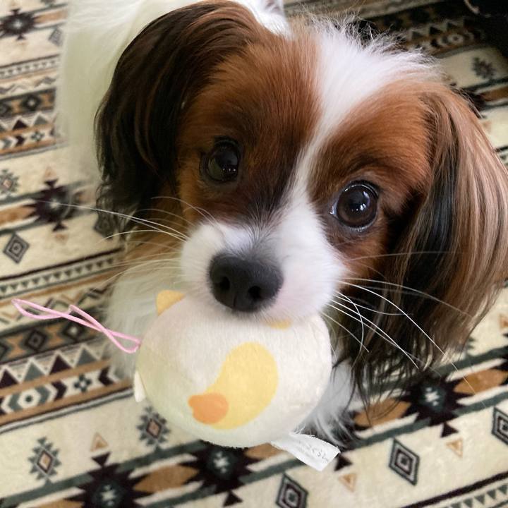 475a3145 7eef 404a 9c12 e0f71d020940 1631661224538