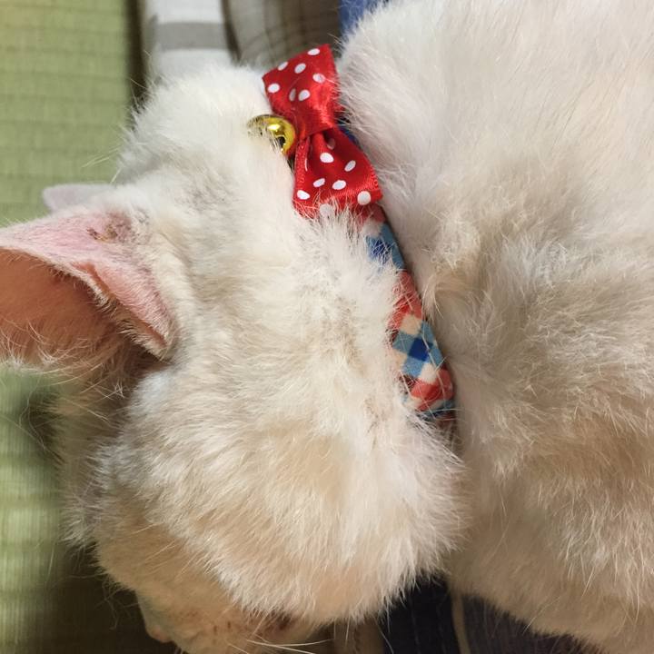 475a404e b3fa 4852 9f09 f8cf27ac91a5 1567687108828