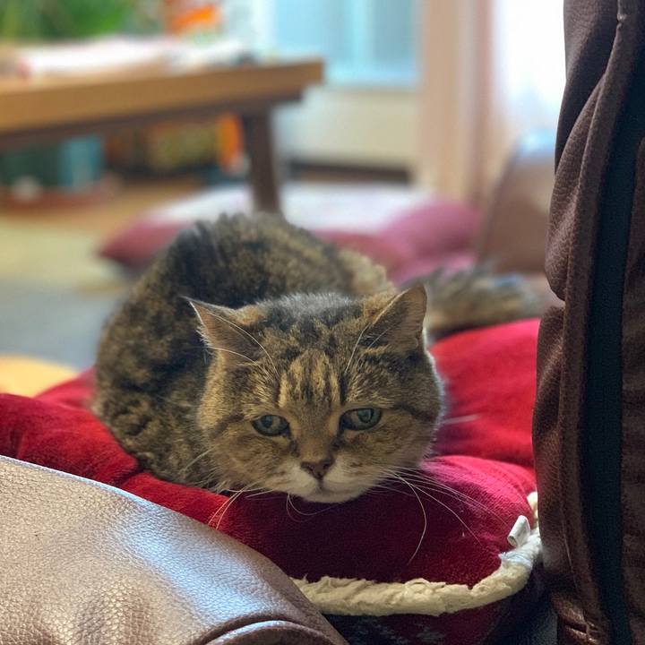 475a81c1 59be 4b18 8fc1 645102f85bb8 1540464127358