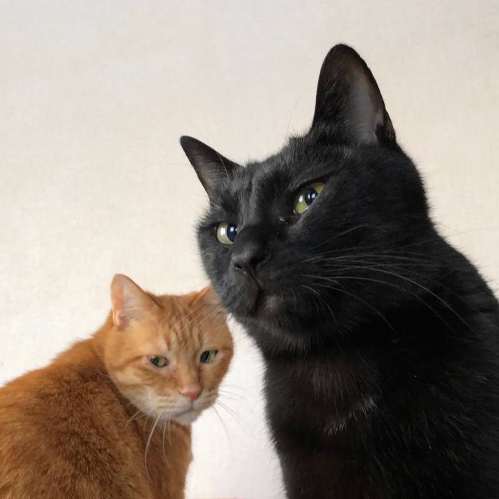 475a8b46 f578 48e7 b4d9 e092a18bc51e 1675463912115