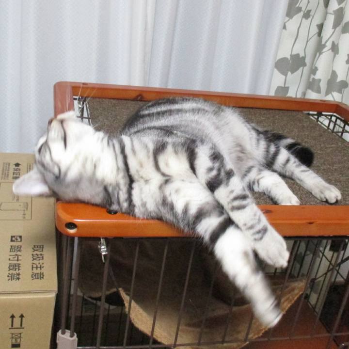 475a9c54 36a3 46a3 bfab c2897abcf784 1549634797761