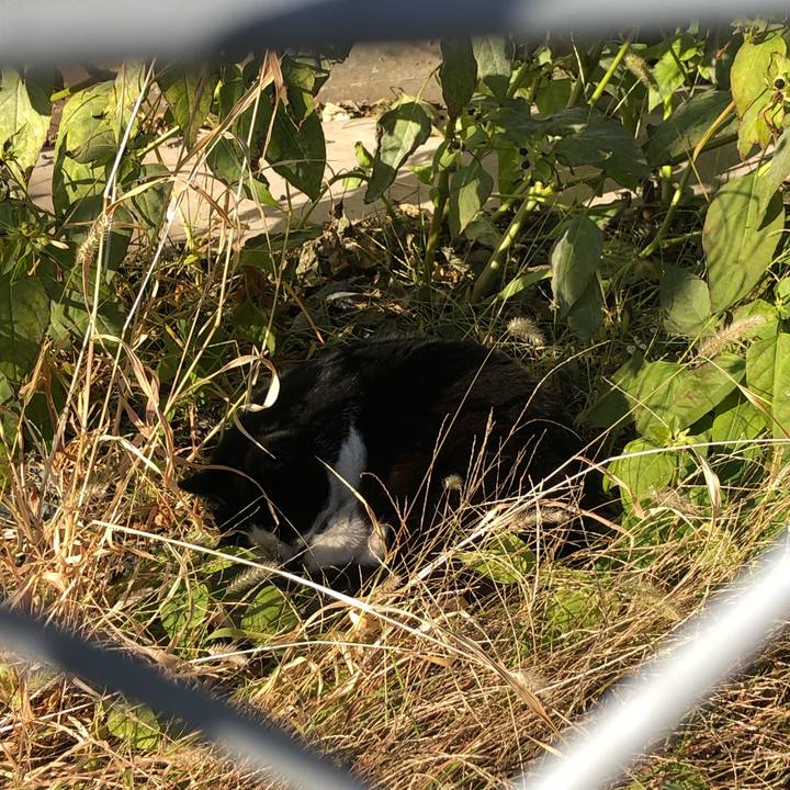 475aa525 34bb 4abb b2d6 9db8f1dd5ce4 1609367286515