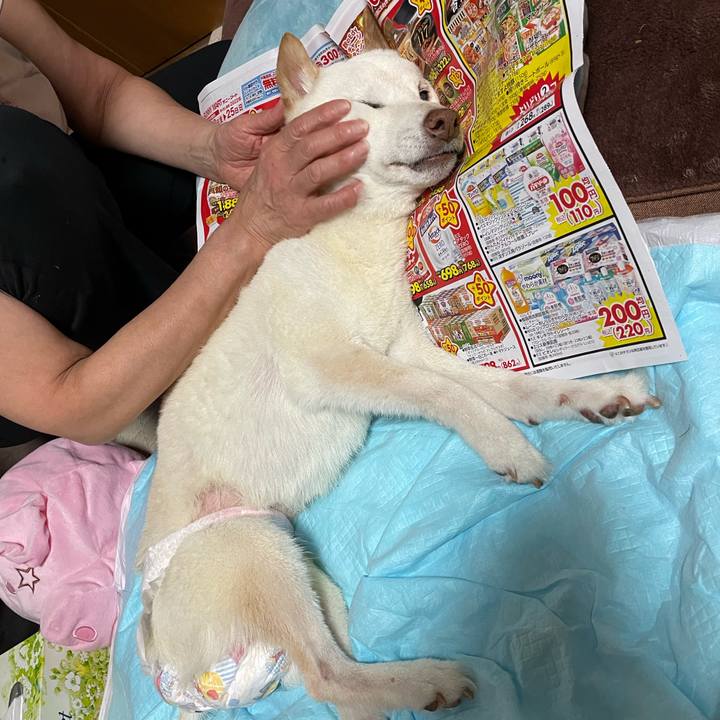 475aae00 b5f2 46ec ac4c 24fdf7731c77 1664033388654