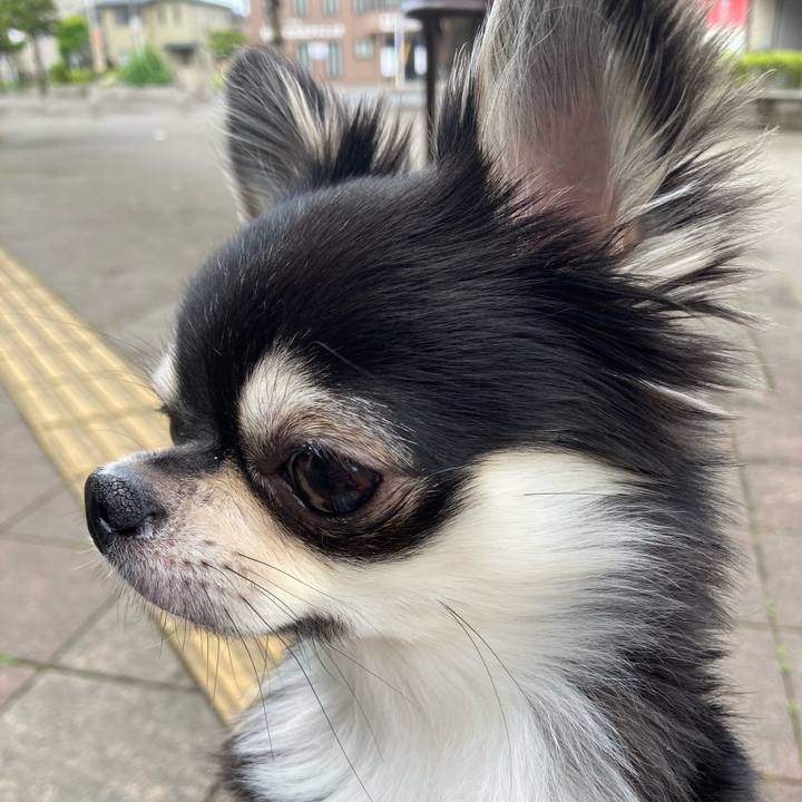 475aba4b df66 496d bcfb 7c3f0cb4e57e 1619939223637