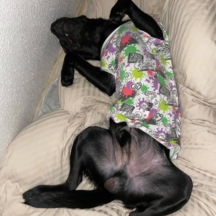 475abd3b ff74 4e48 939c 7f64f66f05bd 1640956605400