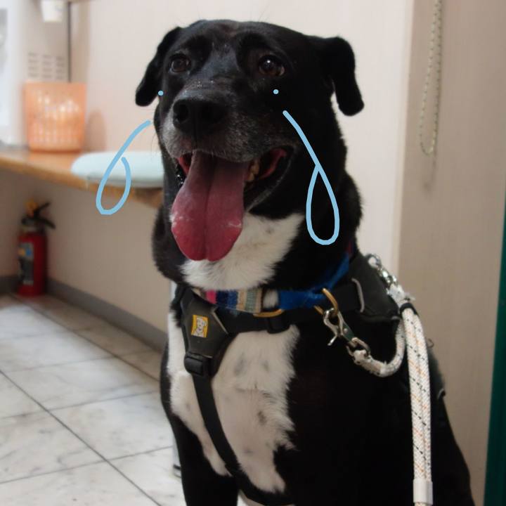 475acc16 3737 4471 bc50 13902d507495 1663583577051