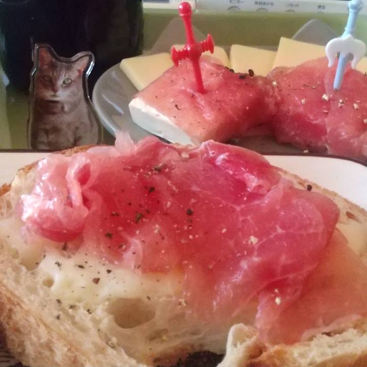 475b1589 54d7 4acc aed1 2db28971bd60 1737879879191