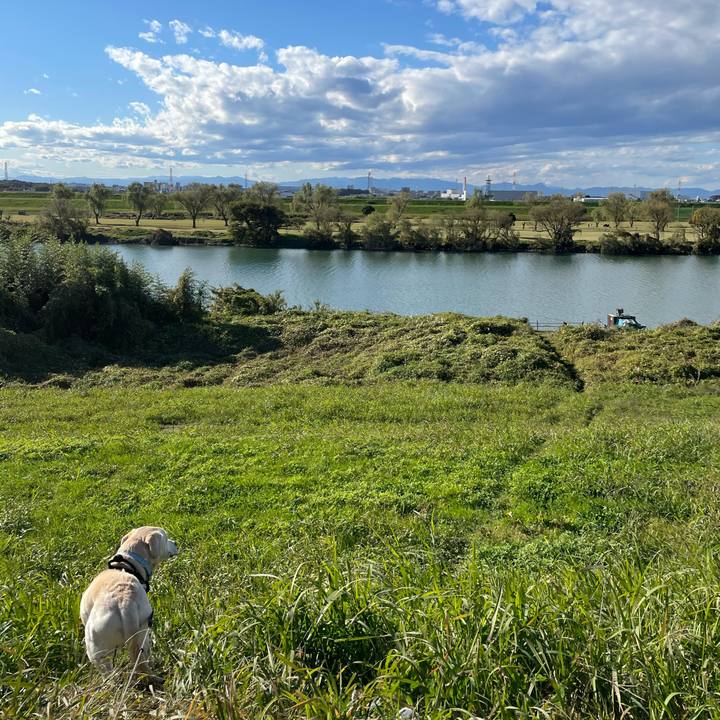 475b3ef9 4d4e 4342 b741 f7e615ad43f9 1605007210627