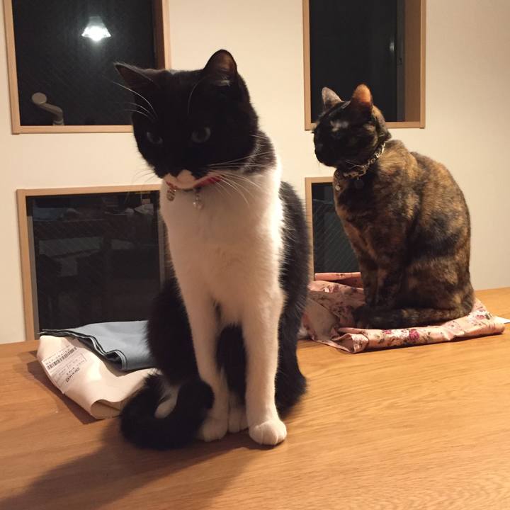 475b422b ec8b 43f3 bc01 3b1ef656ee7f 1514195117799