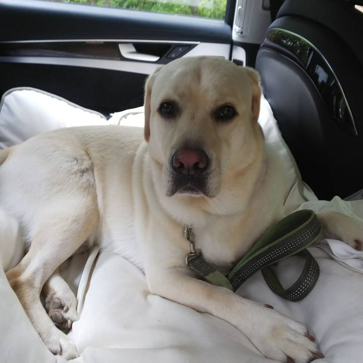 475b4e80 58a5 46b8 8a33 9c6cc5806492 1534741110768