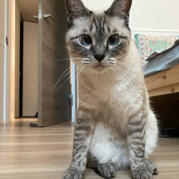 475b5358 76ed 4c35 a10d 75d36c409372 1626732898736