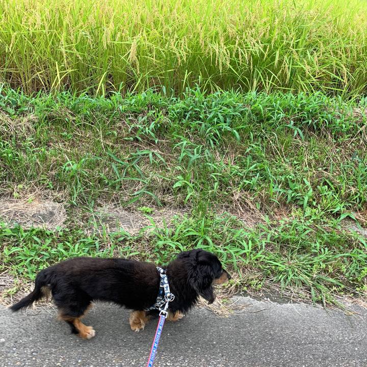 475b61d0 69c9 4f7e bbb2 8c543d265100 1630564345989