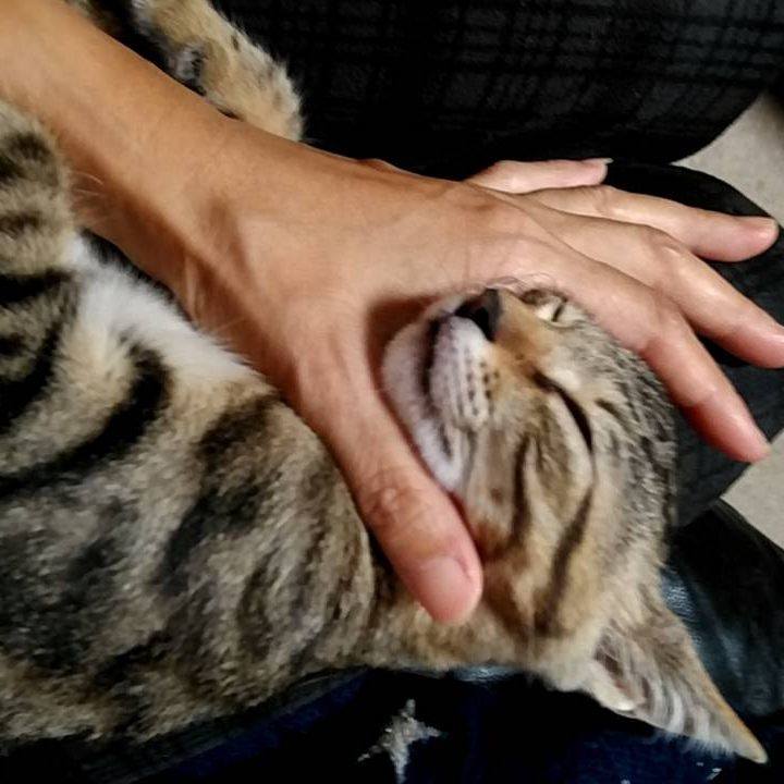 475ba76c 25ee 414b 8bdc 25fe0a518f82 1695551620368