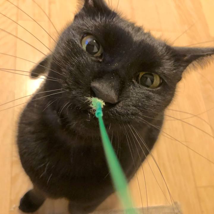 475bc0c8 749b 40e5 8860 5881f1cf3734 1543061977509