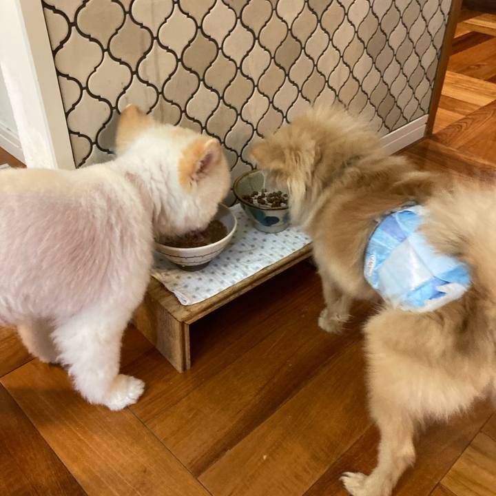 475bea96 a06c 4dd4 9bdd bbf18f20164f 1643282658565