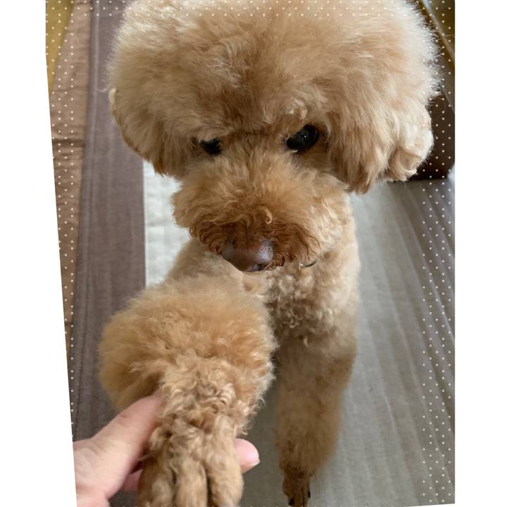 475c278d 641f 438b 9f57 a67841ac626d 1555456484383