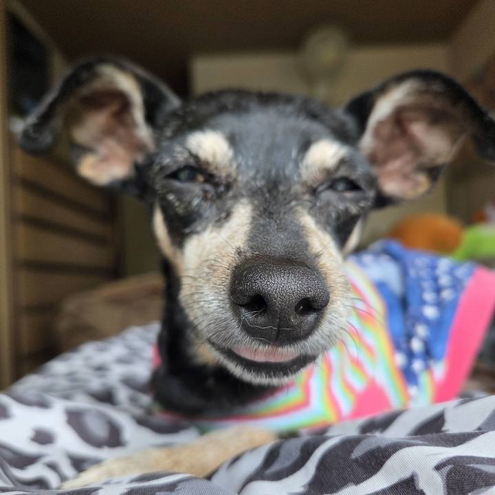 475c393a 6671 4275 a927 baec530201ff 1755926224207