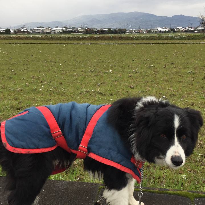 475c6361 6574 4a1a 9f47 d71186caaa96 1581986783752