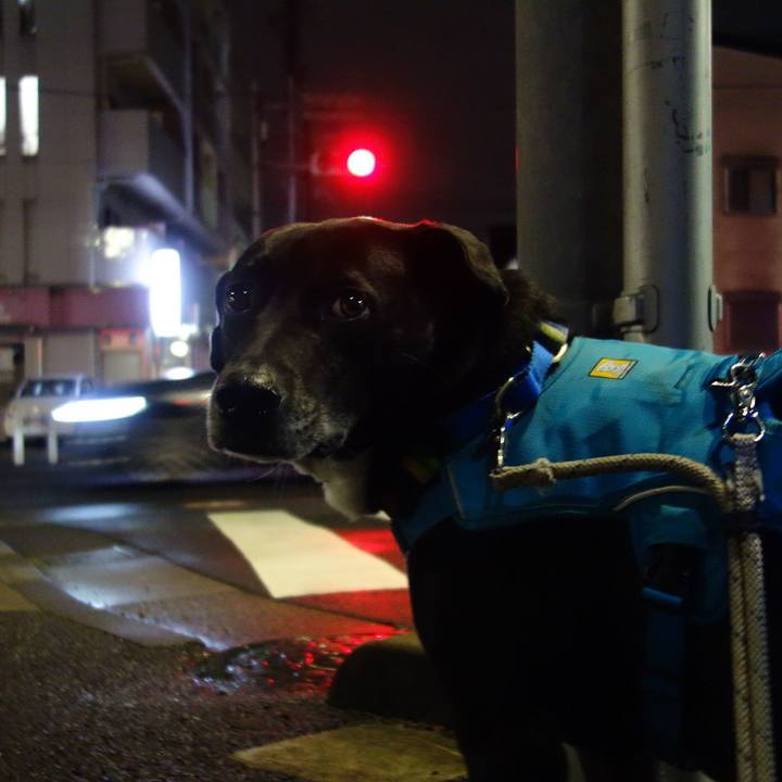 475c674f 6d7c 48b0 97be 1ecec509fee1 1679828272433