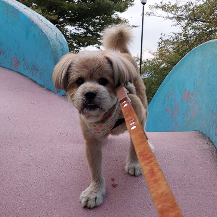 475c76b2 cba4 4021 ac9d 5563f9f5be7b 1632694228313