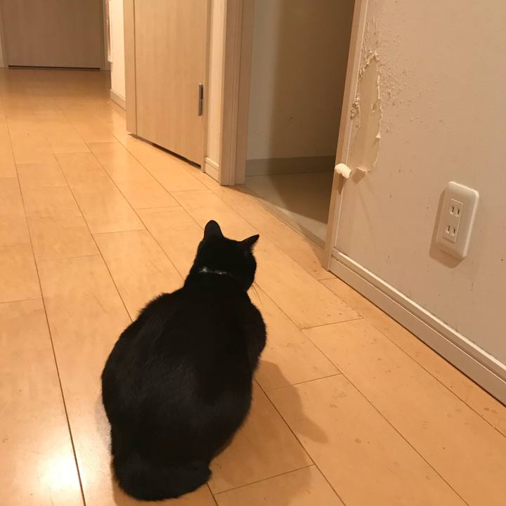 475c797b 60ce 4a1c 9e7e 6ff1d97fbd2c 1521287943391