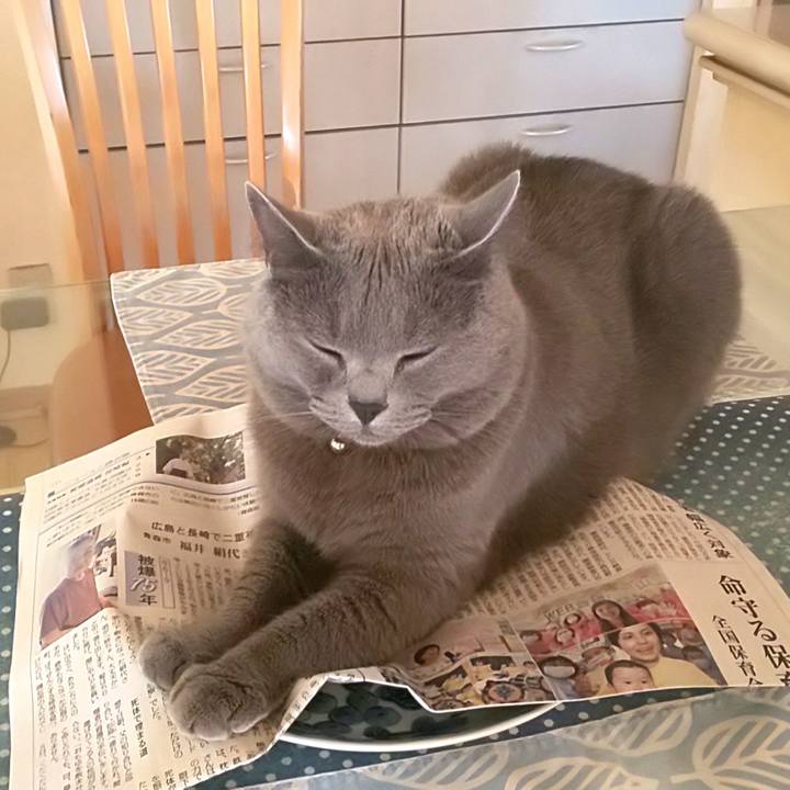 475c7d7d a07e 4665 8541 aeea66f054b9 1596943090995